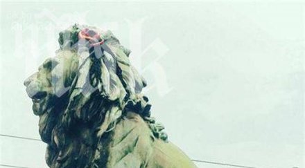 половин час тапа лъвов мост