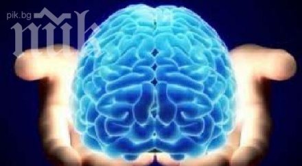 учените категорични научаването втори език забавя стареенето мозъка