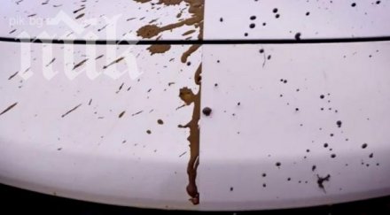 създадоха самоизмиваща кола