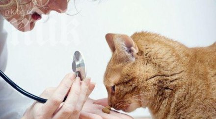 ветеринарите излизат протест