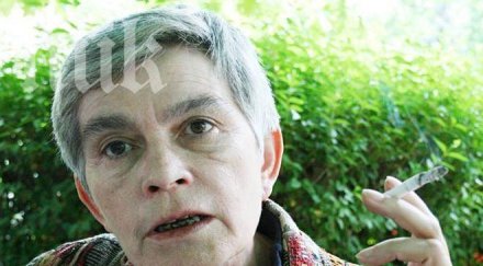 велислава дърева социалистите допуснаха грешки кампанията