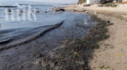 тонове мръсотия вливат морето варна заради запушен канал