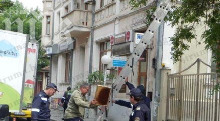 рояк пчели вдигна крак пожарната служба благоевград