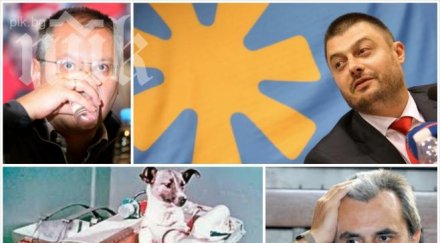 николай бареков пик сергей станишев превърна орешарски кучето лайка министрите опитни мишки