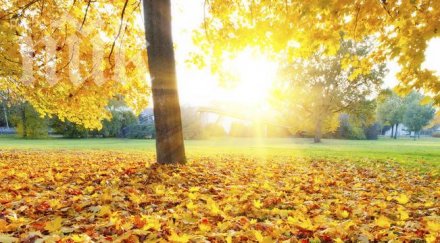 синоптикът бан орлин лазаров дъждовете спират лятото започва градусите стигат