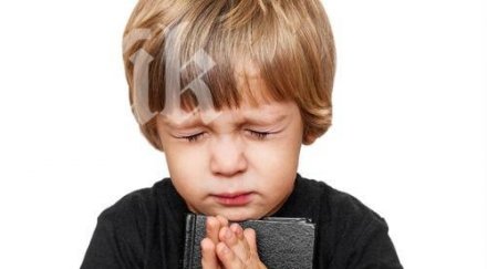 първолаци борят елитните училища