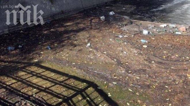 Фекални води се изливат в морето на Лозенец