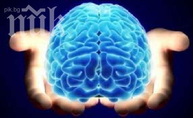 Учените са категорични: Научаването на втори език забавя стареенето на мозъка