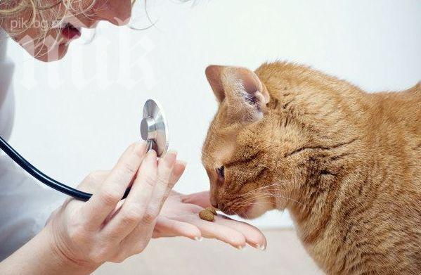 Ветеринарите излизат на протест