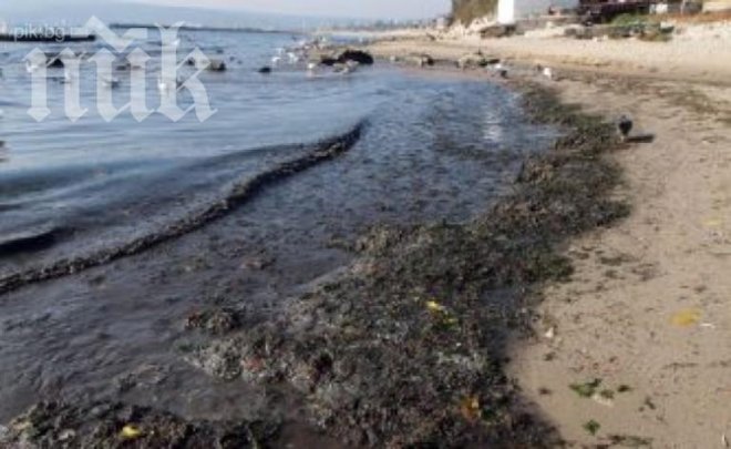 Тонове мръсотия се вливат в морето на Варна заради запушен канал