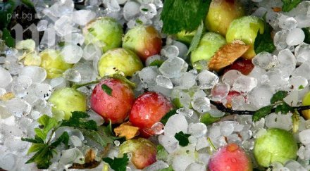 щети милиони невижданите градушки наводнения добрич