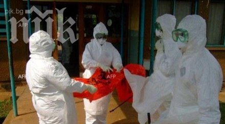 вирусът ебола взе повече 200 жертви гвинея