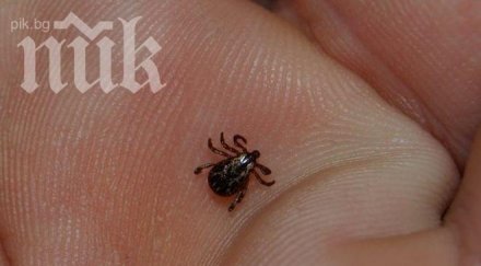 петима болни лаймска болест добричко