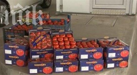 унищожиха половин тон домати границата турция