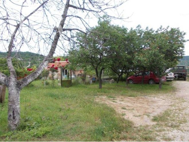 Маскирани приспиват кучета, заплашват с оръжия и обират къщите край Варна