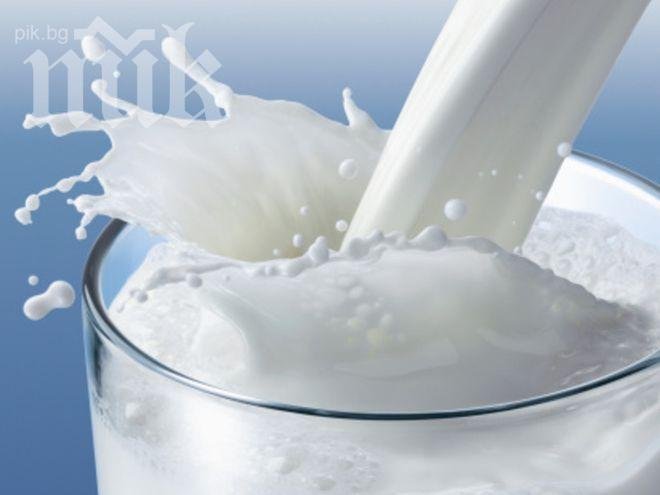 Шокиращи разкрития: Млякото е смъртоносна отрова - причинява рак, остеопороза, диабет и астма!