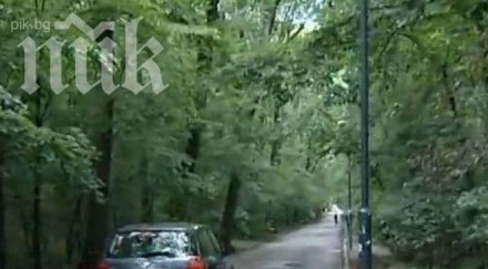 смъртта паоло борисовата градина бъка коли