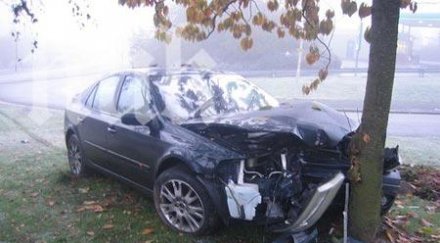 пиян шофьор натресе дърво