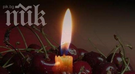 черешова задушница