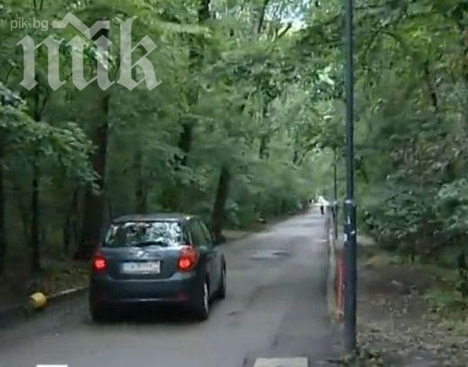 Дори и след смъртта на Паоло: Борисовата градина бъка от коли