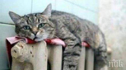 дкевр определи новите цени парното закрито заседание юни