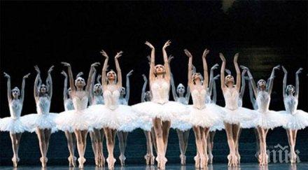 масово бягство кубински балерини сащ искат свобода нормална заплата