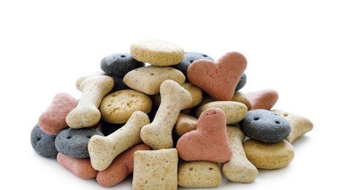 Даскалка почерпи ученици с кучешки бисквитки