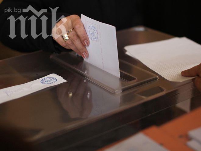 74% избирателна активност в село Гороцвет, състезаваха се БСП, ГЕРБ и ДПС