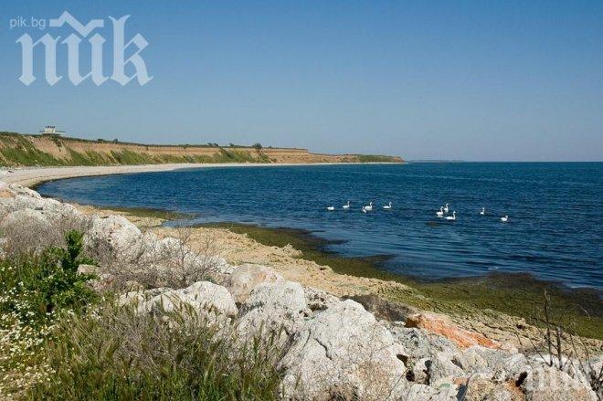 По-малко западняци на Черноморието, руснаците пристигат по график