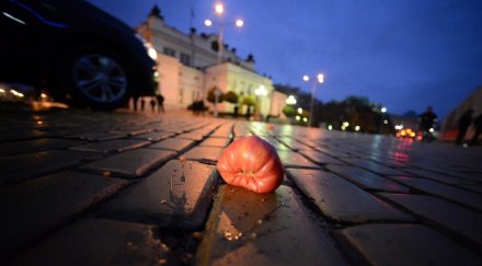 разрешение протеста заповед арести