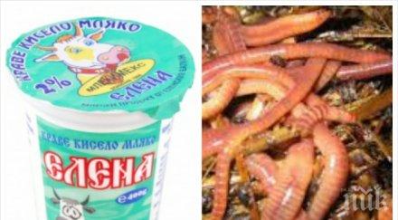 потрес майка откри живи червеи запечатано кисело мляко елена