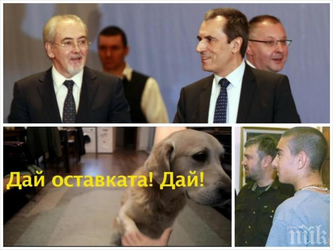 Синът на Теди Москов взриви Фейсбук с майтапчийско видео: Орешарски подаде оставка! 