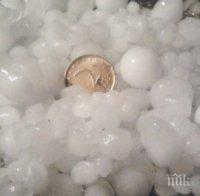 Градушка унищожи 10 000 дка пшеница в Добричко