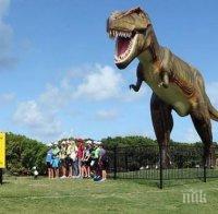 Динозаврите не били нито топлокръвни, нито студенокръвни