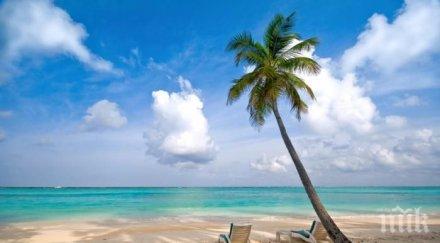 гърция сваля цените заведенията плажовете