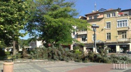 мощната буря отнесе дървета събори електрически стълбове пловдив