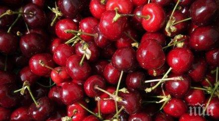 роми нахлуха черешов масив налетели бой полицаите