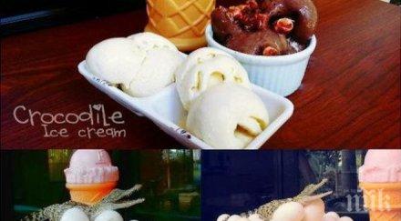 сладолед яйца крокодил хит филипините