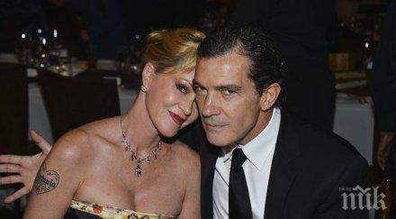 мелани грифит иска попечителство кучетата развода бандерас