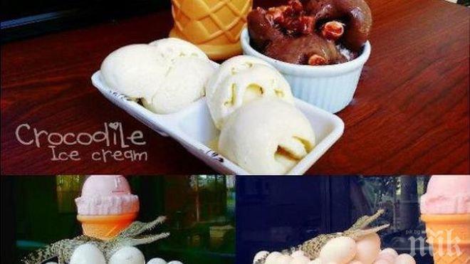Сладолед с яйца от крокодил - хит във Филипините