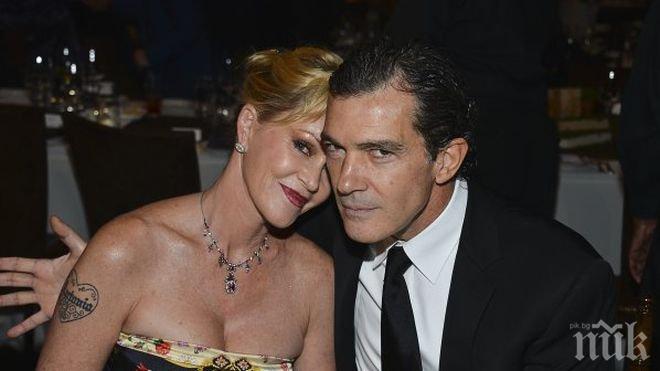 Мелани Грифит иска попечителство на кучетата след развода с Бандерас