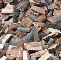 Разкриха незаконна сеч на 447 дъбови насаждения