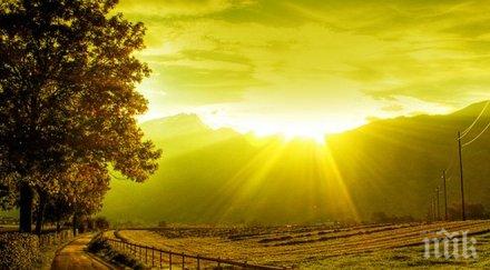 синоптиците прав крив