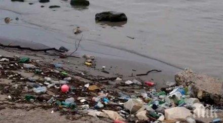 свети влас потрес умрели плъхове дамски превръзки плуват морето