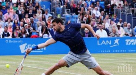 tennis view mag григор димитров амфибия свят гръбначни бозайници