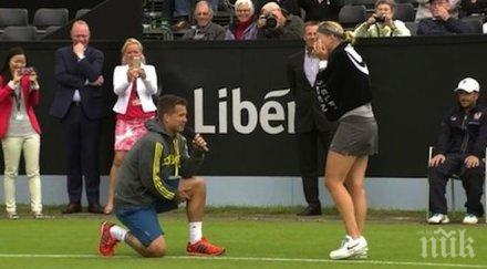 трогателно тенисисти сгодиха корта победа дамата снимки видео
