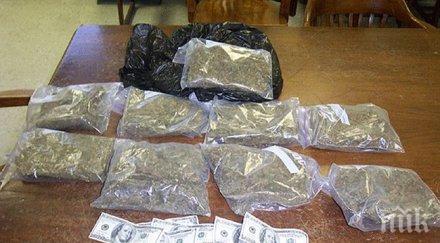 арестуваха 200 килограмов скрил марихуана коремните гънки