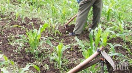 мъж отвлече приятел направи роб село