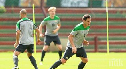 травма вади халф австралия строя мача холандия