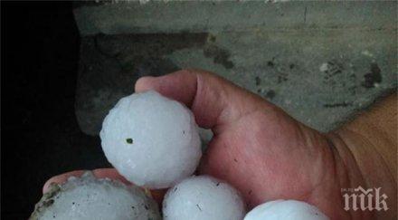 градушка помля 1500 декара реколта